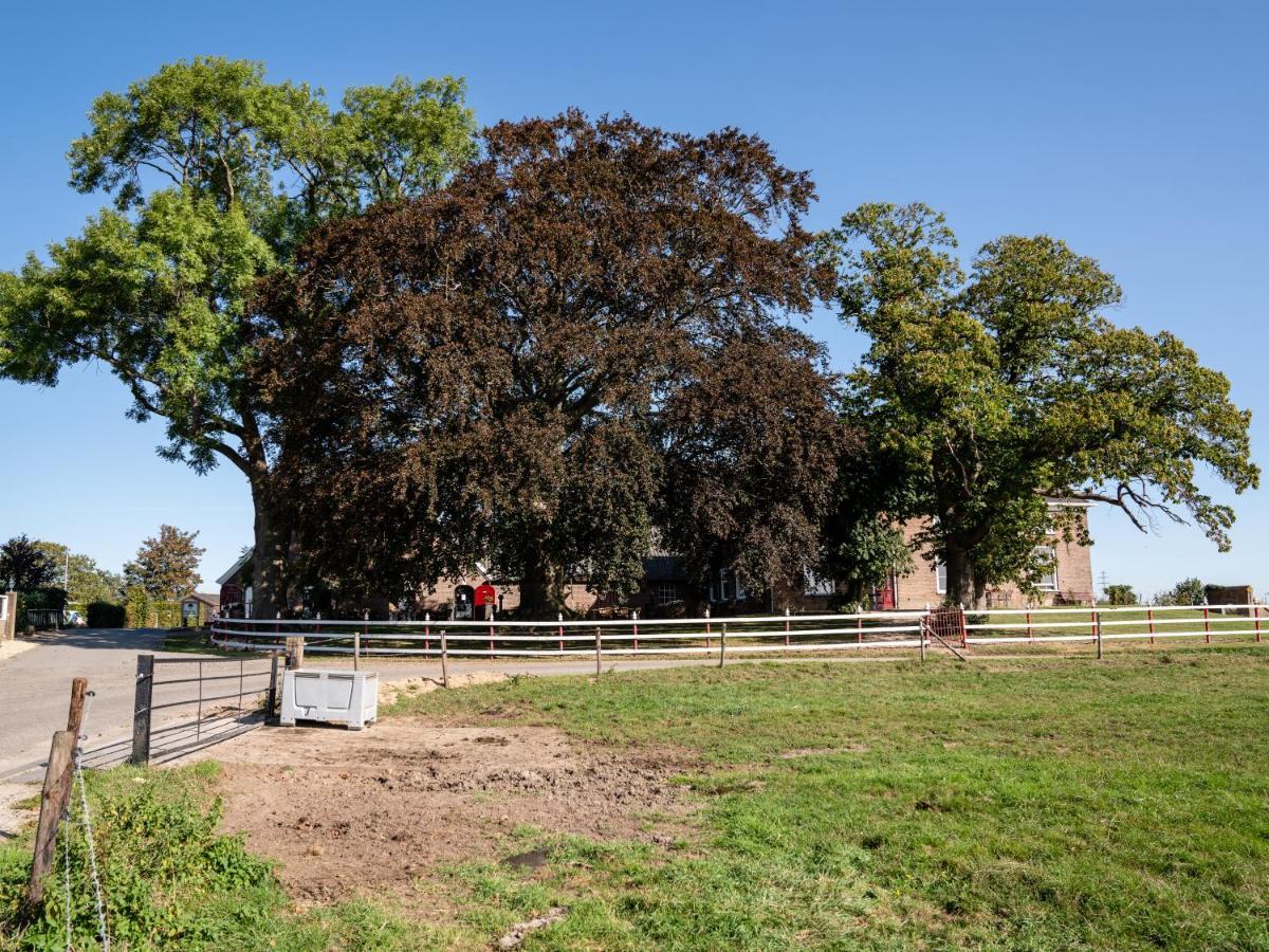 德拉霍夫住宿加早餐旅馆 Doornenburg 外观 照片